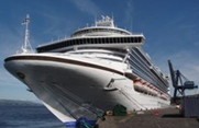 Cruise Liner Excursions